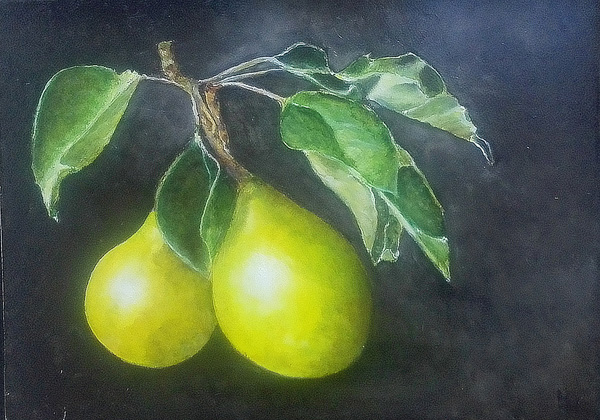 Twee peren, olieverf op paneel 13x18 cm