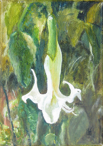 Engelentrompet-3, olieverf op linnen 18x13 cm