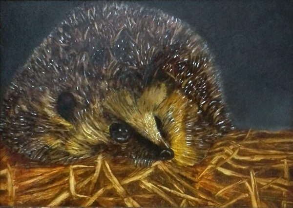 Egeltje, olieverf op paneel 18x13 cm