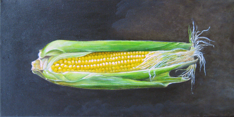 Maïs, olieverf op canvas 20x40 cm