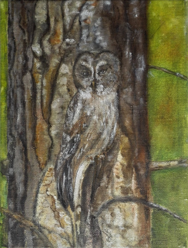 Uil, olieverf op linnen 18x24 cm